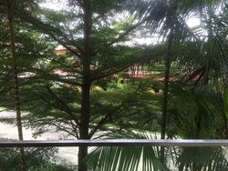 Carabelle (D5), Condominium #470057571
